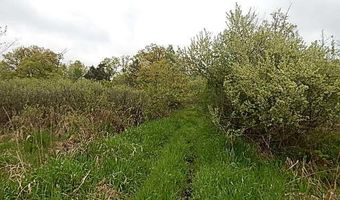 15252 27 Mile Rd, Albion, MI 49224