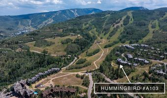 320 Hummingbird Dr A103, Avon, CO 81620