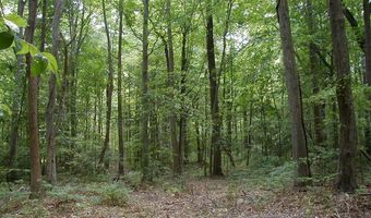 14408 14412 LEONARD CALVERT Dr, Accokeek, MD 20607