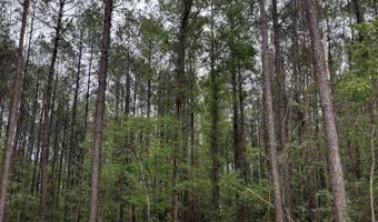 Hwy 49, Brooklyn, MS 39425