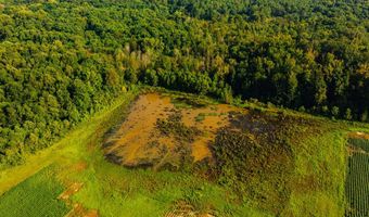 1037 Cr 300, Big Creek, MS 38914