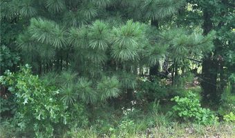 Lasswade Circle lot 10, Bella Vista, AR 72712