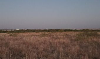 6525 US 180, Anson, TX 79501