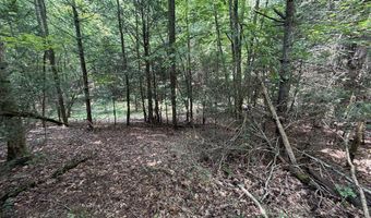 Hall Hollow Road, Austinville, VA 24312