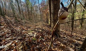 1520 Brittontown Rd, Afton, TN 37616