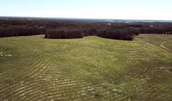 23537 Farm Road 2080, Aurora, MO 65605