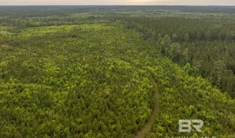 Flowers Road, Bay Minette, AL 36507