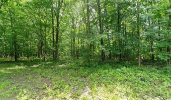 5218 Fillmore St, Allendale, MI 49401