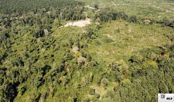 MILTON WHITE ROAD, Bastrop, LA 71220
