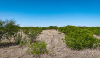 FM 735, Alice, TX 78332