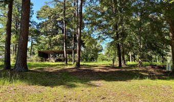 475 Co Rd 411, Abbeville, AL 36854