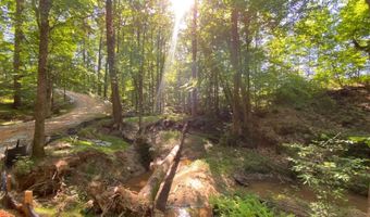 Tract 2 Hwy 51S, Homer, GA 30547