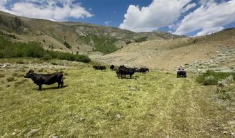 409 Tolman Rd, Clark, WY 82435