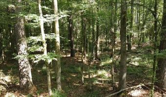 Tbd Bahalia Rd, Brookhaven, MS 39601