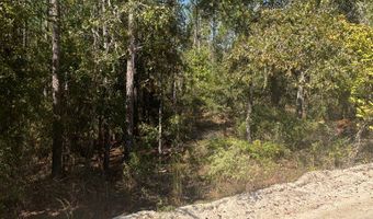 Lot 10 16th Ave, Bell, FL 32619