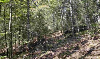 00 Marshall Newland Rd, Burke, VT 05832