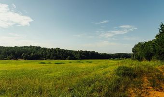 1037 Cr 300, Big Creek, MS 38914