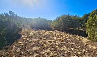 29 Co Rd 3199, Vernon, AZ 85940