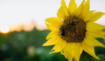 0000 450th Rd, Bassett, NE 68714