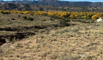 DUANE Street, Abiquiu, NM 87510