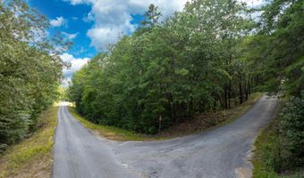 Lot 4 CONSTELLATION DRIVE 2.42 acres, Alpine, AL 35014
