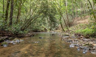2 9 AC Chestnut Flats Rd, Andrews, NC 28901