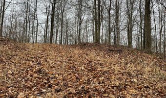 RT 64 Braden Hill Rd, Alma, WV 26320