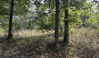 Tbd 7885 County Road 306 Pvt Drive-B, Ava, MO 65608