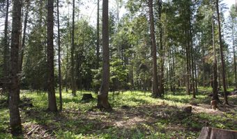 NKA River Lake Dr, Clark Fork, ID 83811