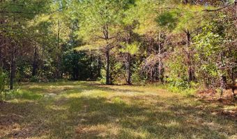 0 CR 320, Big Creek, MS 38914