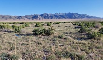 00827021 E Star Peak Rd, Imlay, NV 89418