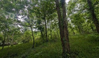0 Mount Helen Rd, Allardt, TN 38504