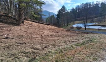 99999 Big Rock Creek Dr, Bakersville, NC 28705