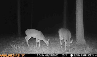 U.S. Highway 51, Bogue Chitto, MS 39629