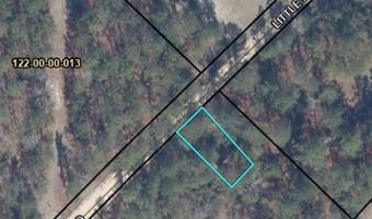 2011 Little Lynches Rd, Bethune, SC 29009