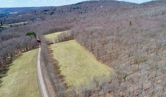 Lot 2 Doig Hollow Road, Andes, NY 13731