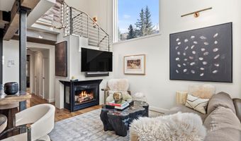 1024 E Cooper Ave 1, Aspen, CO 81611