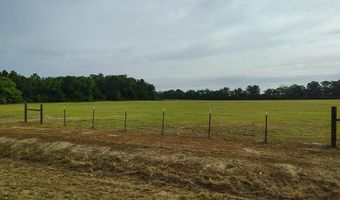 0 1ST Ave, Ashford, AL 36312