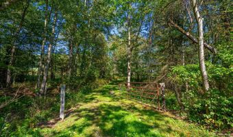 3348 3360 COVE Rd, Accident, MD 21520