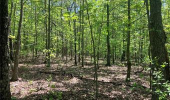 0 County Road 224, Alton, MO 65606