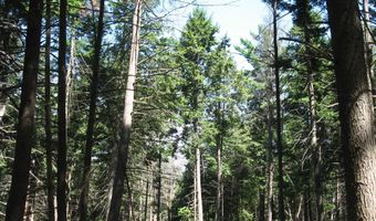 1260 Valentine Pond Rd, Adirondack, NY 12808