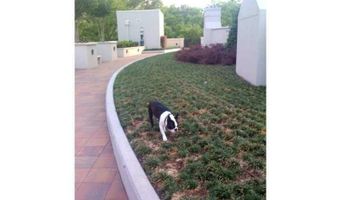 222 12th St NE 1806, Atlanta, GA 30309