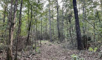 CR 225, Blue Springs, MS 38828