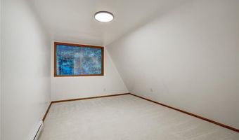 95 SETTELE Ln, Alma, CO 80420