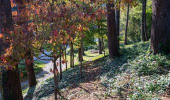 11 Spring Cove Rd, Asheville, NC 28804