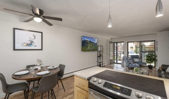 210 E Cooper Ave 1C, Aspen, CO 81611