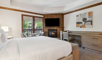 415 E Dean St Unit 10 Weeks 51 + 52, Aspen, CO 81611