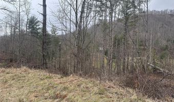 99999 Mountain Crest Dr, Bakersville, NC 28705