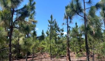 001 West Rd, Bethune, SC 29009