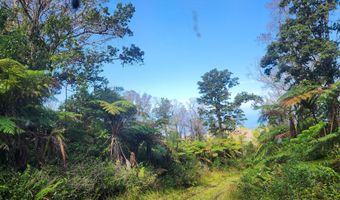 ABOVE MAMALAHOA, Captain Cook, HI 96704